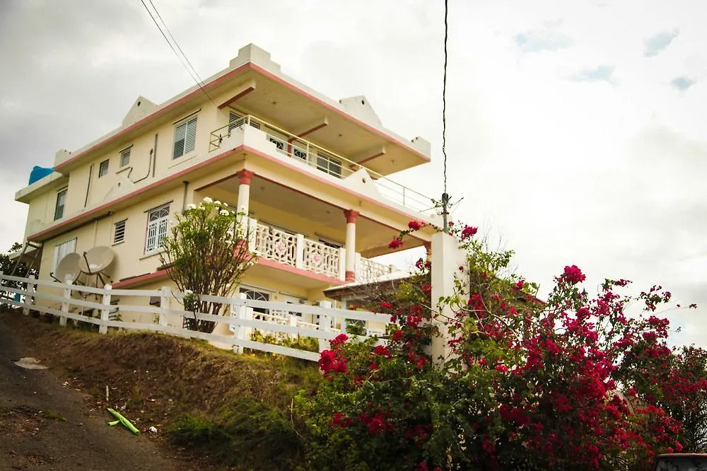Casa Robinson Guest House Isla Culebra 3*,  Puerto Rico